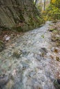 Small river in the woods in Autumn, Monte Cucco NP, Appennines, Royalty Free Stock Photo