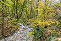 Small river in the woods in Autumn, Monte Cucco NP, Appennines, Royalty Free Stock Photo