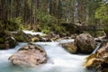 Small river in the Zauberwald - Long exposure version Royalty Free Stock Photo