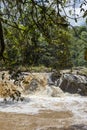 Small rivers in the forests of Kenya. Kakamega Forest. Africa