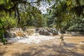 Small rivers in the forests of Kenya. Landscapes in Kakamega Forest. Africa