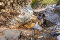 Small rivulet in a mountain forest