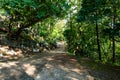 Small road with forest to Phrathat Chom Sin temple Royalty Free Stock Photo