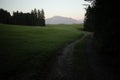 a small road with a grassy field