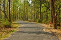 small road on the jungle of Jhargram, a nature tourist spot in West Brnga , India