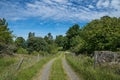 Small road in the Swedish countryside, leading to a farm