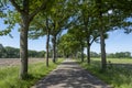 A small road between trees in a typical dutch landscape on a bright sunny day Royalty Free Stock Photo