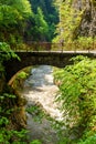 Small road true mountains in spring and river stream