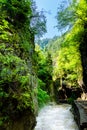 Small road true mountains in spring and river stream