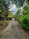 Small road in small village with alot of bushy