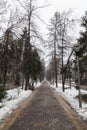 A small road for walking between trees and snow.