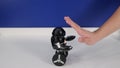 Small robot toy on wheels drives away from human hand