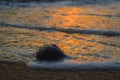 Small rock on a beach hit by the wave, on sunset evening dawn Royalty Free Stock Photo