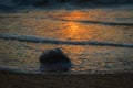 Small rock on a beach hit by the wave, on sunset evening dawn Royalty Free Stock Photo