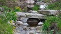Small rock bridge on the creek Royalty Free Stock Photo