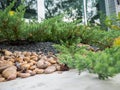 The small rock garden in front is the cement floor, the side is a small tree around Royalty Free Stock Photo