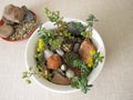 Small rock garden in a planting bowl Royalty Free Stock Photo