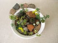 Small rock garden in a planting bowl Royalty Free Stock Photo