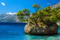 Small rock island in the sea in Dalmatia, Brela, Croatia Royalty Free Stock Photo