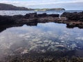 Small rock pool at Cape Schanck, Australia Royalty Free Stock Photo