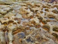 Small Rock Pools in Cratered Sandstone, Bondi Beach, Australia