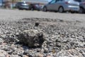 Small rock on road - rough texture close up background