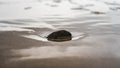 Small rock in the sand Royalty Free Stock Photo