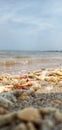 Small rocks on the beachwith blue sky Royalty Free Stock Photo