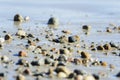 Small rocks low tide Royalty Free Stock Photo