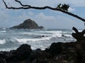 Small rocky island near shore