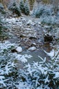 Small rocky mountain stream in winter Royalty Free Stock Photo