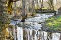 A small rocky river in a rural area in early spring Royalty Free Stock Photo