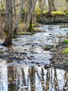 a small rocky river in a rural area in early spring Royalty Free Stock Photo