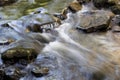 a small roll near the waterfall, nature