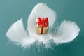 Small romantic present on whi Royalty Free Stock Photo