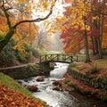 Romantic rivulet with bridge Royalty Free Stock Photo