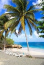 Small romantic tropical sand beach , Cuba Royalty Free Stock Photo