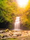 Small romantic waterfall in the middle of green forest