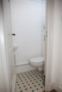 small room under the stairs hides the toilet wc