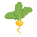Small root icon cartoon vector. Green turnip Royalty Free Stock Photo
