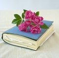 Small roses on a diary Royalty Free Stock Photo