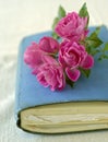 Small roses on a diary Royalty Free Stock Photo