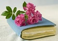 Small roses on a diary