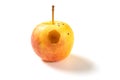 small rotten apple bited by insect on a white background