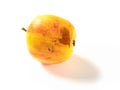 small rotten apple bited by insect on a white background