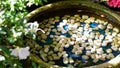 A small round artificial water tank in the territory of a Japanese garden. There are small white pebbles in the water
