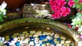 A small round artificial water tank in the territory of a Japanese garden. There are small white pebbles in the water