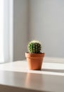 A small round cactus is placed in a terracotta pot on a light-colored wooden surface. Royalty Free Stock Photo