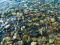 Small round stones under clear clear water Royalty Free Stock Photo