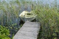 Small row boat tied to a pier surrounded by green sea weed Royalty Free Stock Photo